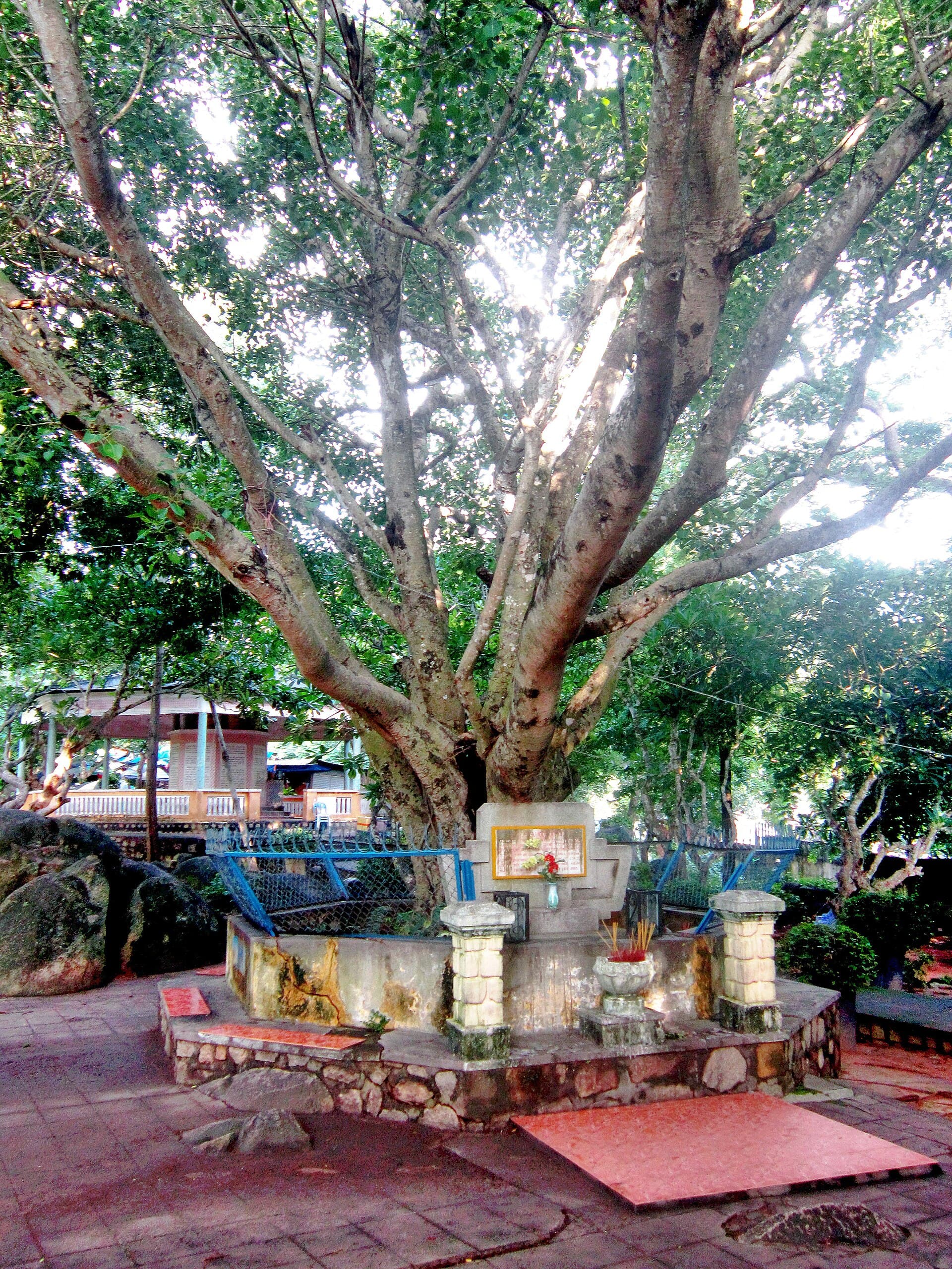 Chùa Bồ Đề