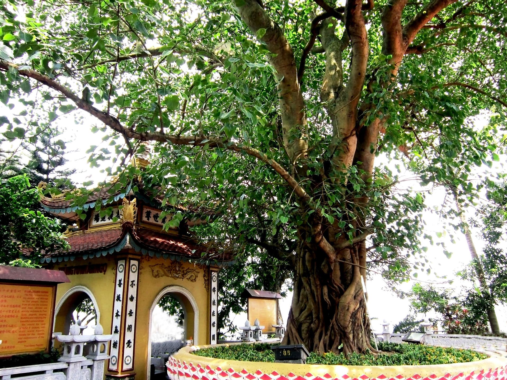 Chua Bo De Dao Trang
