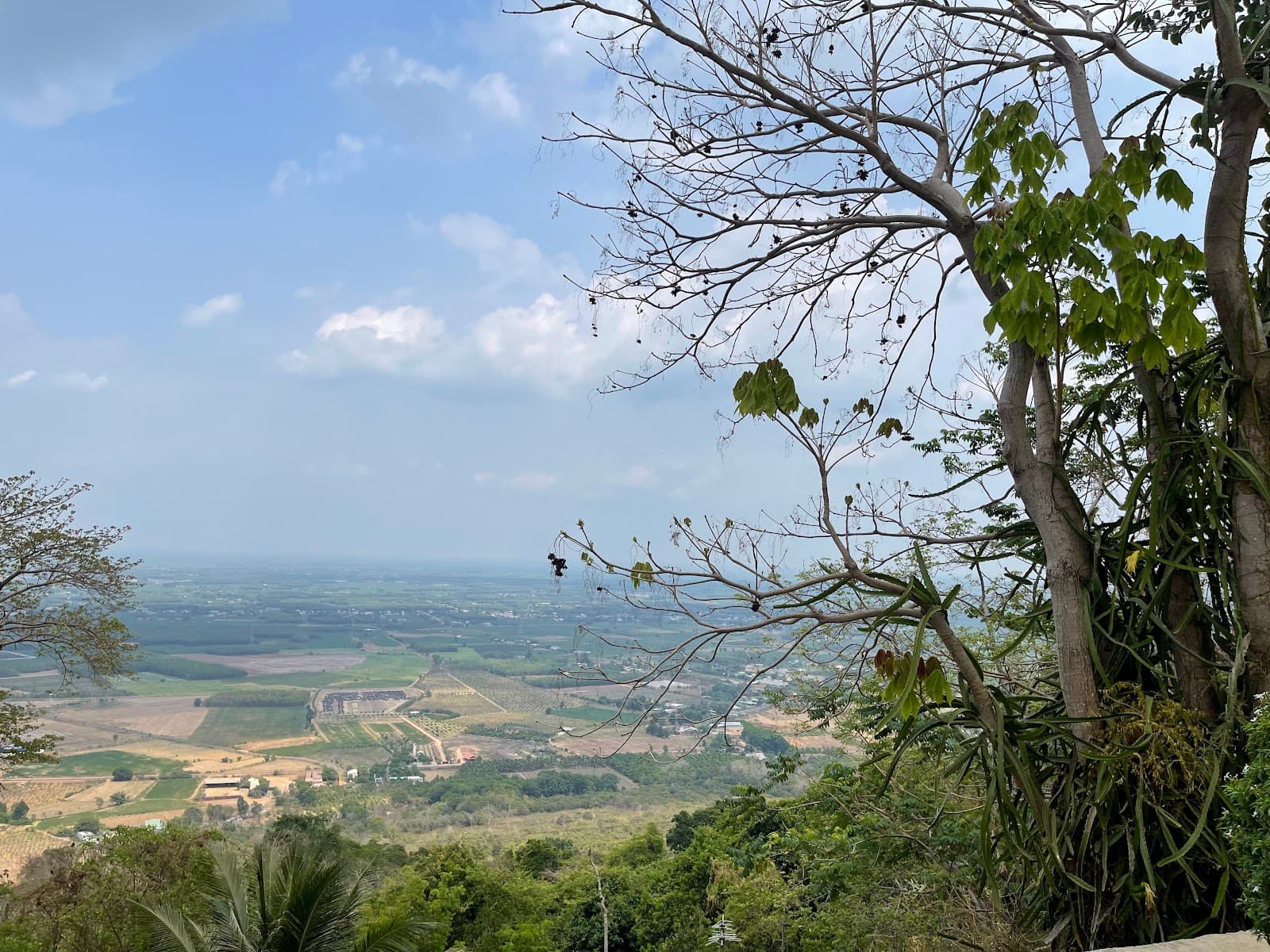 Chùa Hòa Đồng
