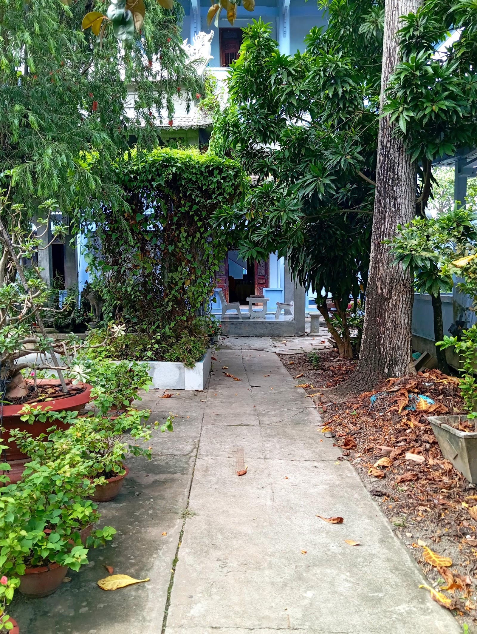 Chùa Hội Long