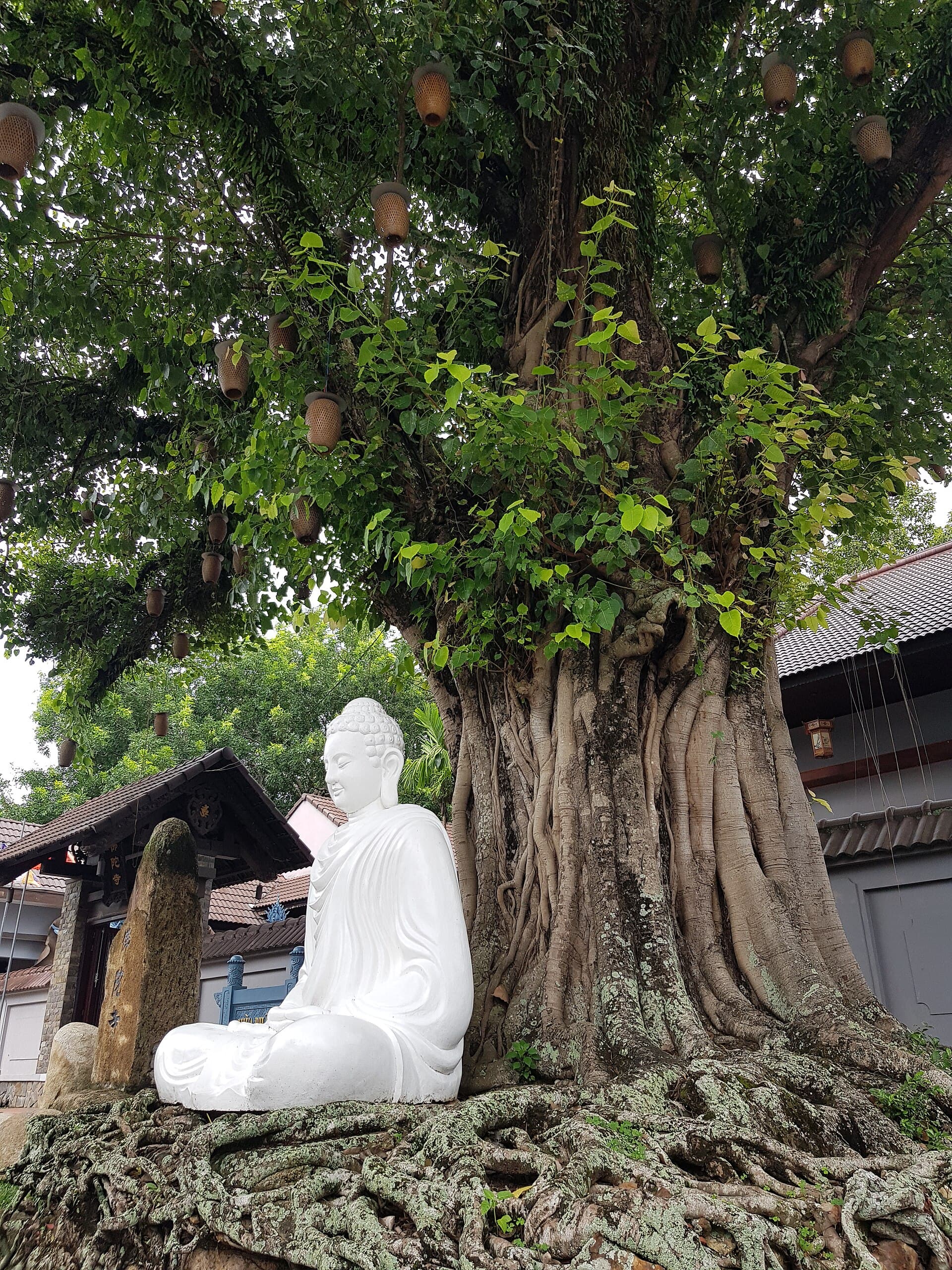Chùa Phật Đà