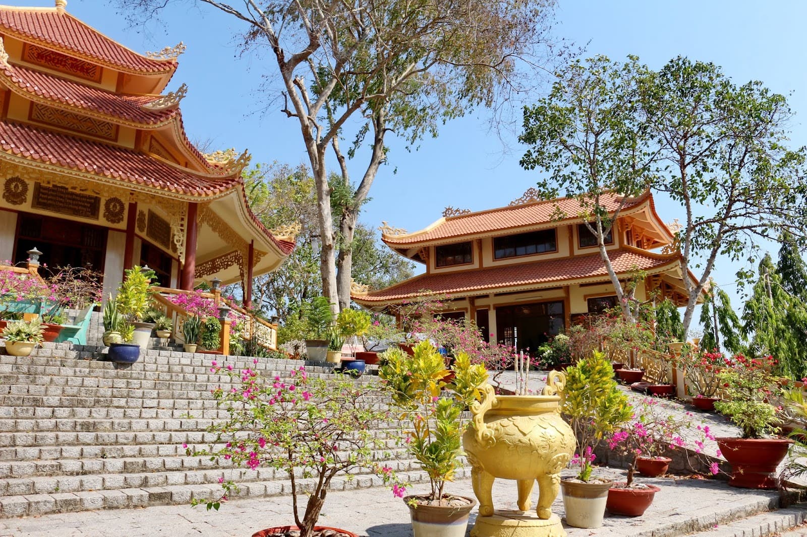 Ngoc Mai Monastic